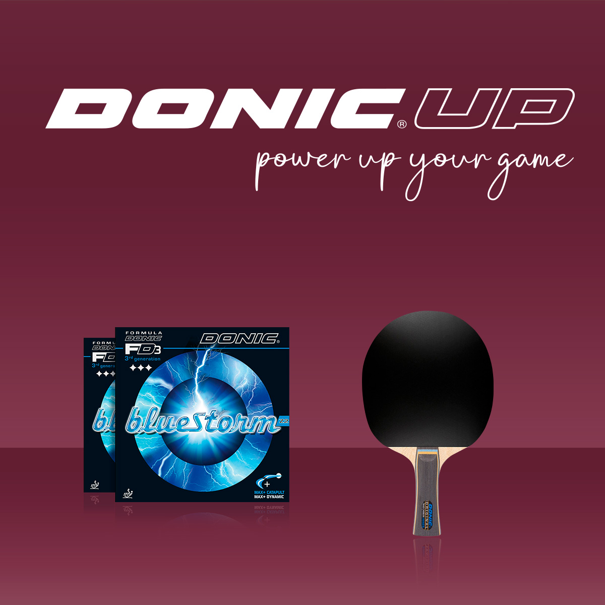 DONIC TRUE CARBON INNER konkav mit BLUESTORM Z2