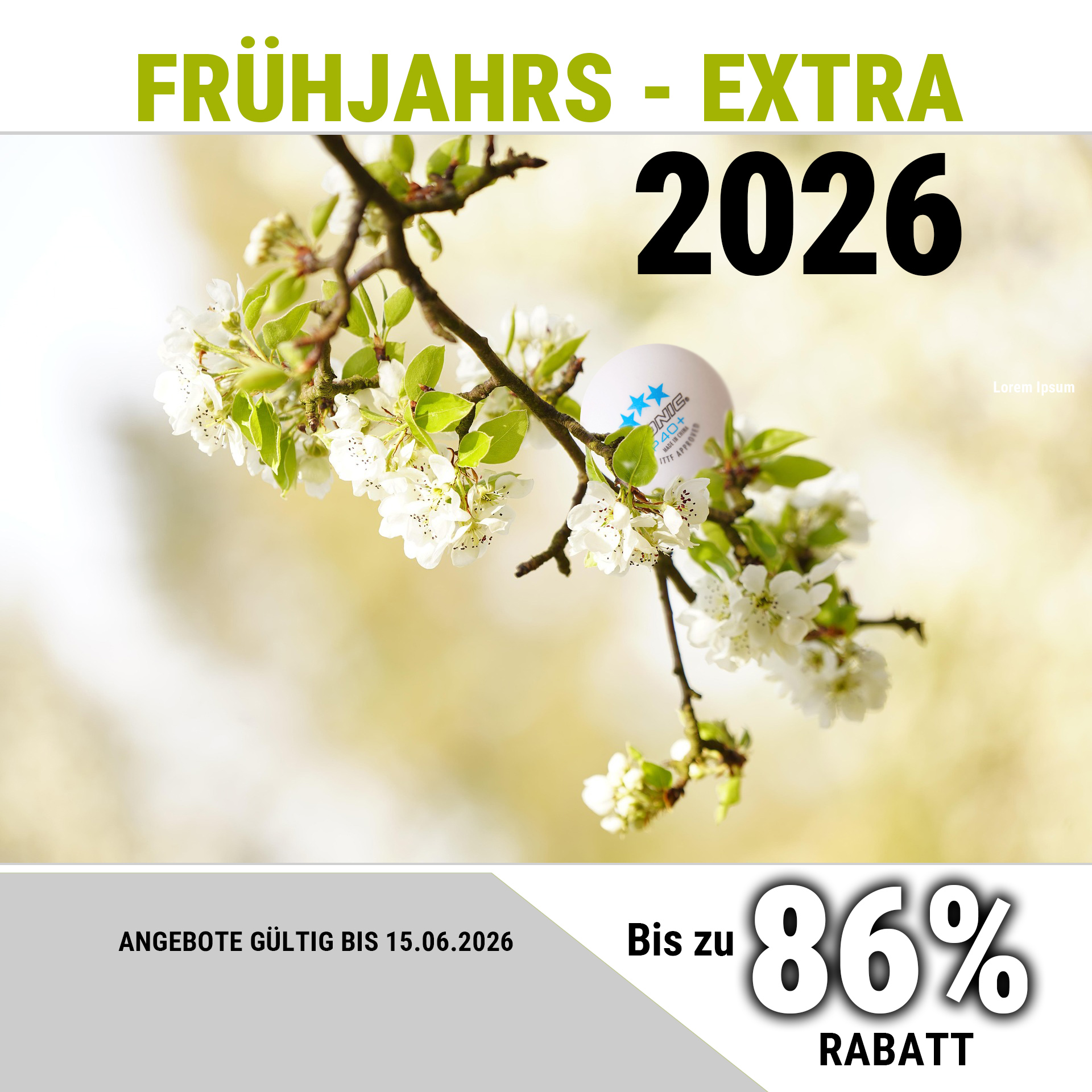 Tischtennis Zubehör Angbeot